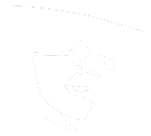 Logo Shady Lady - studio di gioco su Golisimo